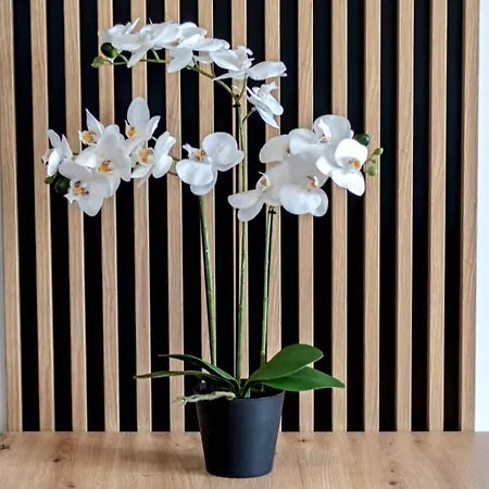 Stablewskiego Spot Apartment