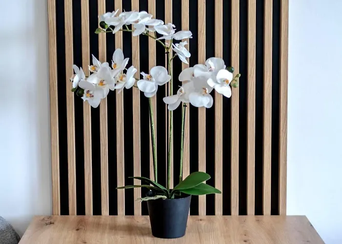 Stablewskiego Spot アパート